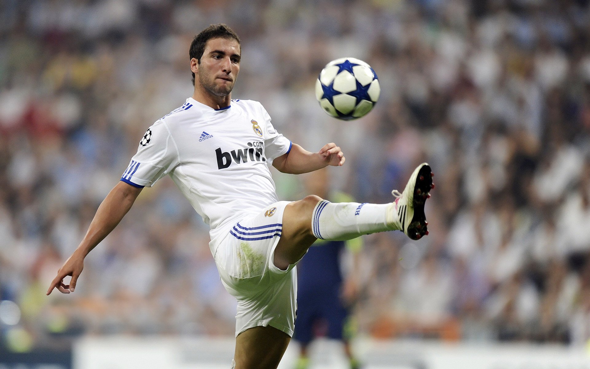 WTT蒙彼利埃冠军赛:国乒女单夺冠 莫雷加德男单登顶,国乒mvp